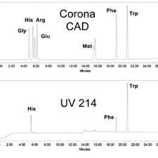 Charged aerosol detection (cad) technology delivers performance that refractive index (ri), low wavelength uv, and evaporative light scattering (els) detectors simply cannot match. A Simplified Schematic Of A Corona Charged Aerosol Detector Figure Download Scientific Diagram