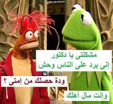 arabichumor fun quotes funny arabic funny funny reaction pictures