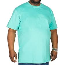 We did not find results for: Bigdude Plain Crew Neck T Shirt Turquoise Bigdude
