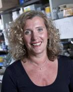 THE 18TH ANNUAL GILBERT S. GREENWALD VIRTUAL SYMPOSIUM ON REPRODUCTION AND  PERINATAL RESEARCH