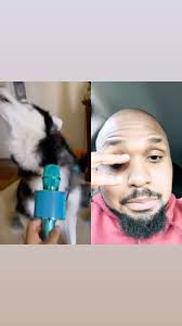 That dog killed that shit!! #damilleoreacts #sing #dogs #dog #autotune  #karaoke #follow #followme #reactionboi #hilarious #video #videos #music  #funny #reels #reelsinstagram #kansascity