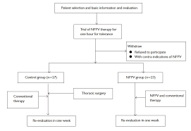 70 Genuine Ventilation Flow Chart