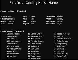 Black And White Horse Names Pin On Horses And Such