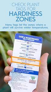 Maybe you would like to learn more about one of these? How To Find Your Hardiness Zone And What It Means For Your Garden Better Homes Gardens