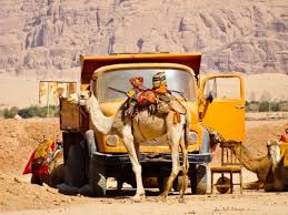 Why does a camel have nostrils which can close? Pin On Favorite Places Spaces