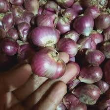 Maybe you would like to learn more about one of these? Pusat Buku Jogja Pusdik Brimob Watukosek ä¸»é¡µç›®å½•
