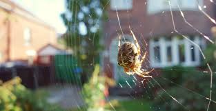 Epingle Sur Astuces