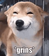 I haven't posted anything in a while because i am on vacation in spain. Doge Gifs Tenor