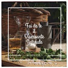 Usare l'aceto come diserbante totale naturale. 11 Idee Su Diserbante Fai Da Te Diserbante Diserbante Naturale Diserbanti Fatti In Casa
