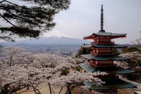 Best Cherry Blossom Festivals Viewing Locations Jrailpass