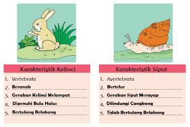 Kunci jawaban buku tematik kelas 5 tema 9 subtema 1 pembelajaran 4 halaman 33. Materi Dan Kunci Jawaban Tematik Kelas 5 Tema 1 Subtema 1 Halaman 42 43 44 46 49 Gawe Kami