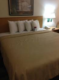 Rest + repeat at red roofregister, rest + repeat and earn a free night at red roof. Full King Bed Picture Of Red Roof Plus Tempe Phoenix Airport Tripadvisor
