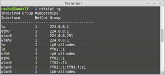 Netstat is powerful and can be a. How To Use Netstat Command In Linux Lintut