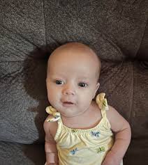 Choccy milk and chickie nuggies delivery