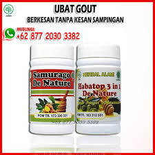 Kapsul buah naga plus ginseng. Problem Gout Ubat Gout Pokok Berkesan Tanpa Kesan Sampingan Dan Paling Mujarab Ubat Gout