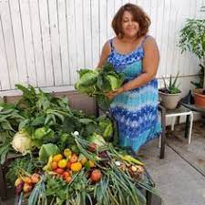 Paradise Garden Seed Company Paradise Garden Herb Seeds