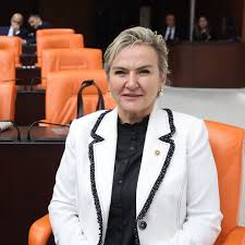 CHP İSTANBUL MİLLETVEKİLİ NİMET ÖZDEMİR'DEN KADIN HAKLARINA SAHİP ÇIKMA ÇAĞRISI CHP İstanbul Milletvekili Nimet Özdemir, TBMM Genel Kurulu'nda yaptığı konuşmada İstanbul Sözleşmesi'ni hedef alan söylemlere ve kadın haklarına yönelik saldırılara ...