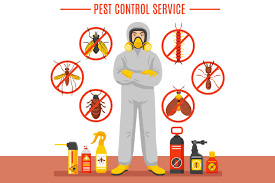 , arts from annamali university, tamil nadu, india (2004). Evergreen Pest Control Services Tamilnadu Home Facebook