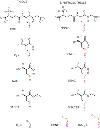 Rsh is listed in the world's largest and most authoritative dictionary database of abbreviations and acronyms. Chemical Structures Of The Thiols Rsh And The Corresponding Download Scientific Diagram