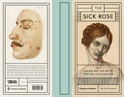 The Sick Rose Disease And The Art Of Medical Illustration Pdf The Sick Rose Or Disease And The Art Of Medical Illustration Medical Drawings Medical Illustration Victorian Illustration