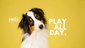 Maybe you would like to learn more about one of these? Tails Pet Resorts Posts Facebook