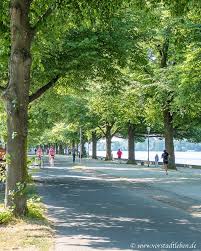 30 Minuten Laufen Mein 6 Wochen Anfanger Trainingsplan Hannover Maschsee Trainingsplan Hannover