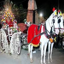 Baggi Image