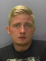 Locked up in June: Reckless drivers, paedophiles and men who carried out  savage attacks have been taken off our streets