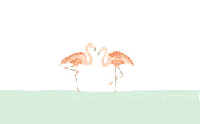 A roll top bath and a large shower was installed four years ago along withtongue and groove panelling on the bottom half of the wall, which is painted in farrow & ball's 'pigeon'. Flamingo Desktop Wallpapers Top Free Flamingo Desktop Backgrounds Wallpaperaccess