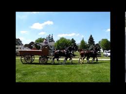 David Jantzi & David Carson Driving the 4 Horse Hitch of Clydesdales