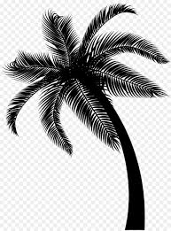 We offer you for free download top of palma clipart pictures. Coco Fecha De La Palma Hoja Imagen Png Imagen Transparente Descarga Gratuita