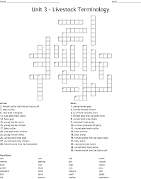 Livestock Terminology Crossword Wordmint