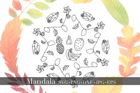Free icons of fruit in various ui design styles for web, mobile, and graphic design projects. Mandala Tropical Fruits And Birds Graphic By Alyviaskye Creative Fabrica