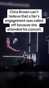 Chris Brown Fan Engagement Drama at Concert