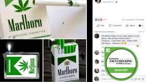 It is made by philip morris usa (a branch of altria) within the us, and by philip morris international (now separate from altria) outside the us. Cek Fakta Rokok Ganja Mulai Beredar Di Indonesia Cek Fakta Liputan6 Com