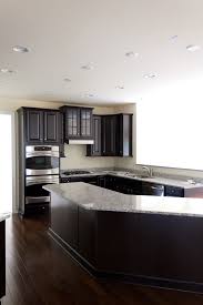 Luna Pearl And Espresso Cabinets With Dark Hardwood Home Kitchens Kitchen Remodel Kitchen Design