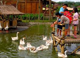 Floating Market Lemband Bandung Indonesia Indonesia Berjalan Paris