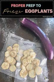 From all i read the most common method for freezing eggplant is blanching eggplant in rounds and then freezing it. How To Blanch Eggplant For Freezing Step By Step Photos The Fork Bite