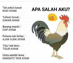 Posted by liz in blog at 下午6:37. Maksud Bagai Ayam Disambar Helang Malaysigat