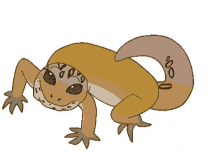 We did not find results for: Animated Gecko Gifs Tenor