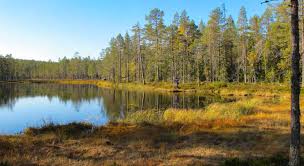 Contact and general information about länsstyrelsen västernorrland company, headquarter location in härnösand, sweden. Kullarna Haxtjarn Lansstyrelsen Vasternorrland