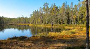 Du bjuds på en heltäckande, angelägen kanal där du bor. Kullarna Haxtjarn Lansstyrelsen Vasternorrland