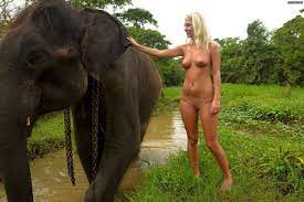 Elephant Xxx | Sex Pictures Pass