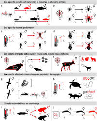 Exploring climate-induced sex-based differences in aquatic and terrestrial  ecosystems to mitigate biodiversity loss | Nature Communications