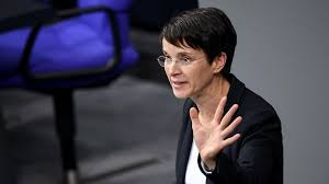 H petry, a brooks, a orme, p wang, p liu, et. Frauke Petry Stern De