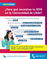 Lista de integrantes del hogar que están declarados. Registro Social De Hogares Universidad De Chile