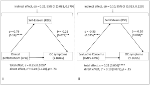 A baby who wants their diaper changed, feed or to be held. Self Esteem Mediates The Relationship Between Perfectionism And Obsessive Compulsive Symptoms Sciencedirect
