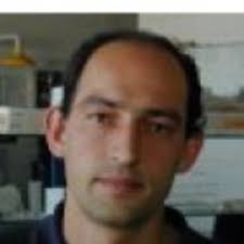 Faculty of fine arts, university of lisbon Rui Oliveira Professor Universidade Nova De Lisboa Xing