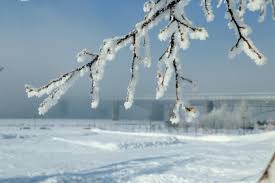 Morozy Vnov Vernutsya V Novosibirsk