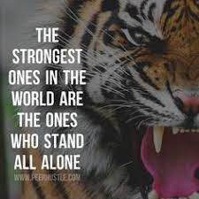 All i wanted to do was get back to africa. 12 Tigers Inspirational Ideas Lion Quotes Motivational Quotes Warrior Quotes